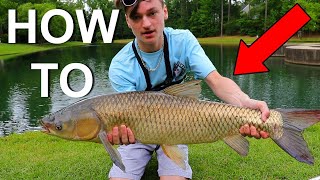 HOW TO CATCH GIANT GRASS CARP IN A POND-Fishing From The Bank