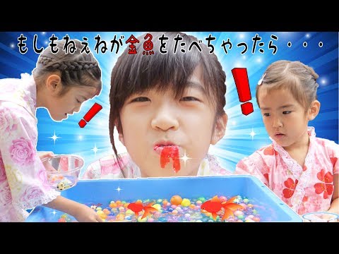 もしもねぇねが金魚すくいの金魚を食べちゃったら・・・？