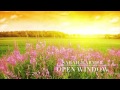 Open Window - Sarah Harmer