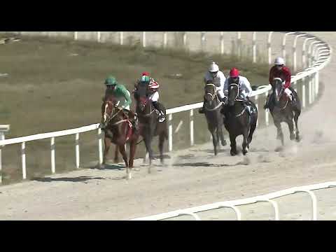 2023.09.10. 4. Futam - VAJDA SÁNDOR EMLÉKVERSENY - NYERETLENEK VERSENYE (V.kat.) (szintetikus pálya)