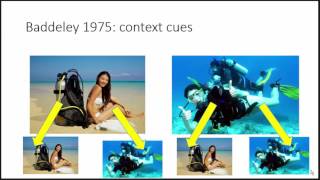 Baddeley 1975