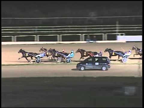 Trotto 14/12/2014 - 8° corsa