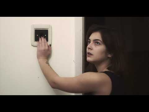 Perplexitas (Zavarodottság)