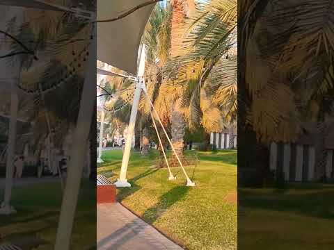 Corniche Beach ⛱️🏖️#abudhabi #travel #reels #dubai