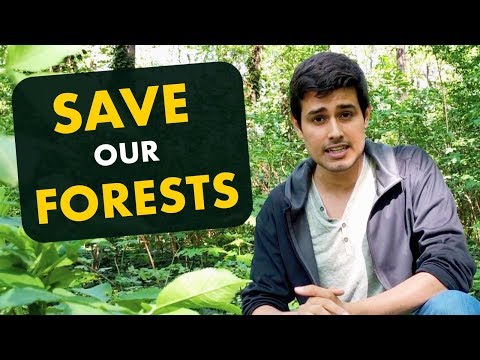 Save our Forests! | National Forest Policy 2018 Explained by Dhruv Rathee Video