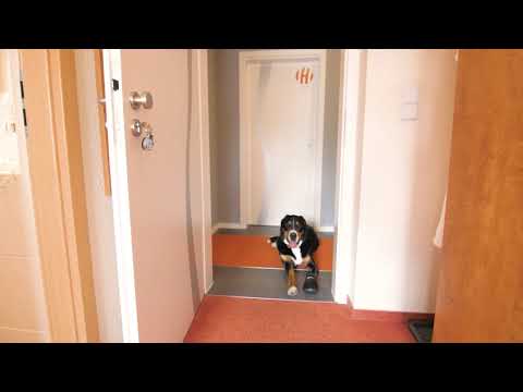 Hotel Sonnenklahr Ostseebad Göhren auf der Insel Rügen 4K