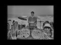 NEW * Count Me In - Gary Lewis & The Playboys  {Stereo} 1965