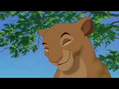 Beauty and the Panda (1991) trailer (Remake)