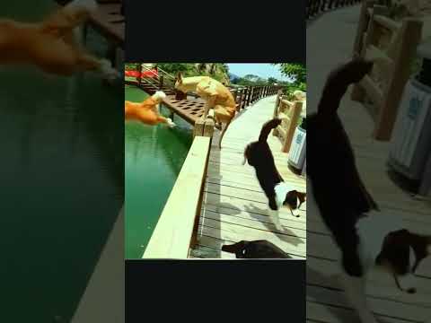 1 2 3 🤣🤣🤣 #enjoy #lmfao #joy #crazy #art #followme #me #instadaily