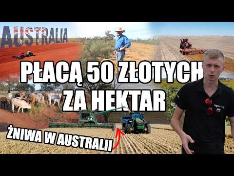Cała prawda o rolnictwie Australii! Tutaj średni rolnik ma ponad 4000 hektarów. Dlaczego tak dużo?