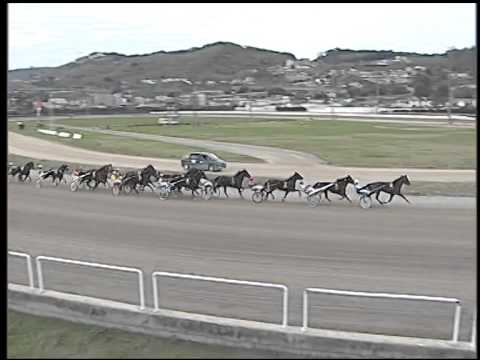 Trotto 14/12/2014 - 5° corsa - G.P. Royal Mares