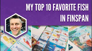 Finspan video thumbnail