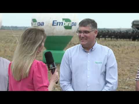 Abertura nacional do plantio da soja 25/26 é realizada no Mato Grosso do Sul