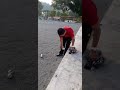 Pentanqe Di Jerantut