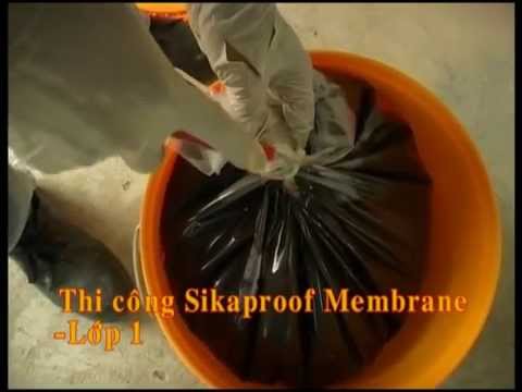Chống Thấm Sàn Mái Bê Tông Sika Latex và Sika Membrane