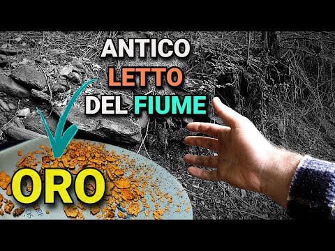 I looked for gold in a new river: new challenge and first gold pickers found in this riverbed!