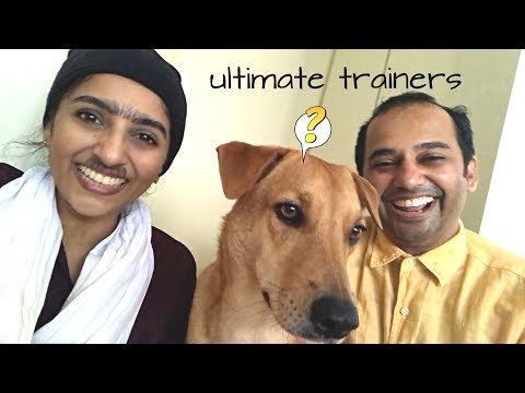 How to train a dog | Pandi & Sokka | Sailaja Talkies