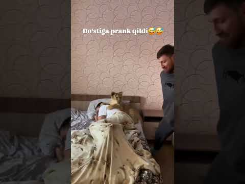 Obuna bo'ling🍃💫BUNDAN QIZIQ VIDYOLAR HALI OLDINDA... #keşfet #trend #love