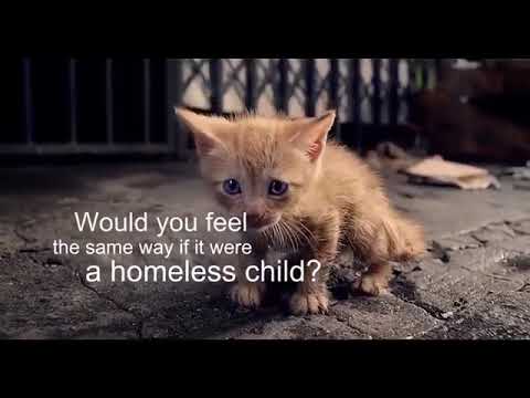 new tiktok 2021 sinhala