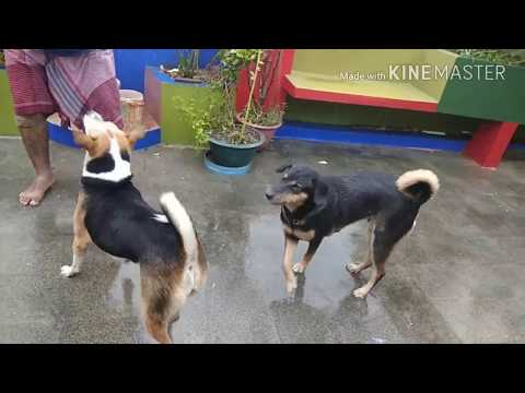 monsoon!!!!time to get wet!!!