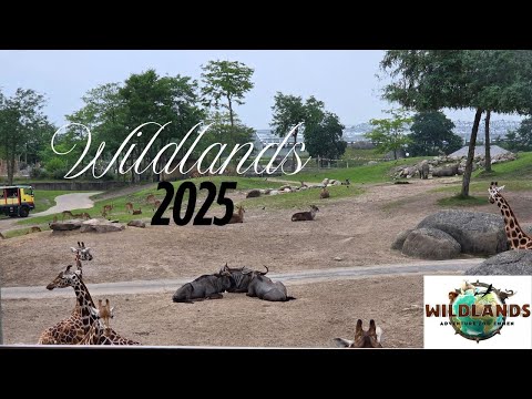 Wildlands Adventure Zoo Emmen 2025
