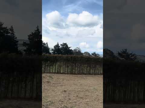 Lotes campestres alto de las palmas Medellín Colombia #envigadoantioquia #bienesraices #realestate