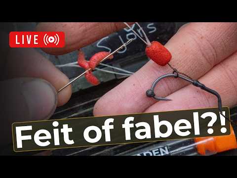 DEBUTTING FABLES with Willem Kwinten & Michiel Pilaar