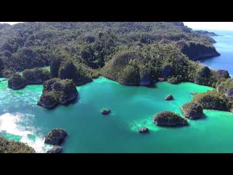 Lady Denok - Misool - December 2016