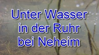 preview picture of video 'Unter Wasser in der Ruhr bei Neheim (FullHD)'