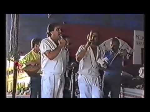 Zlatni zvuci - Zelen Javor Raširio grane (Official live Video)