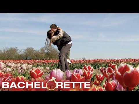 Rachel & Zach Enjoy a Romantic Date at the Tulip Fields in the Netherlands
