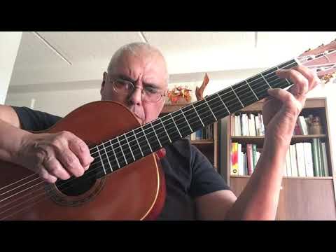 "Fleur de lotus", composed and performed by Roque Carbajo