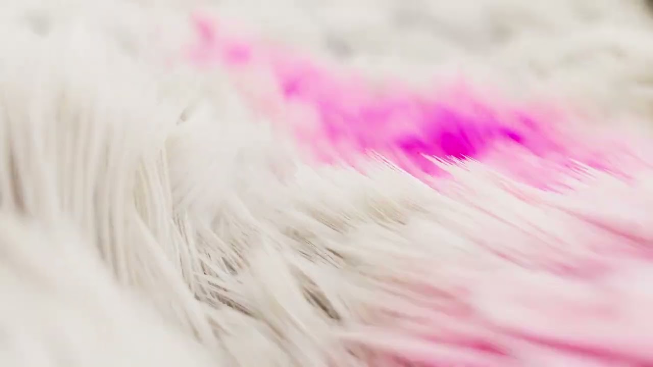 blawan-npcs-making-hot-dinner