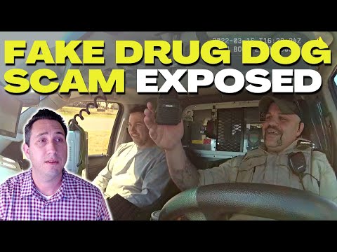 LAWSUIT: Fake Dog Hit Caught on Video