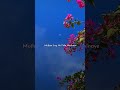 Shaan Se Rahu Sada 2025 New WhatsApp Status