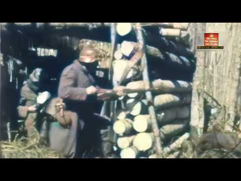 Spanish Blue Division (División Azul) within the German Army (Heer) on the Eastern Front during WWII