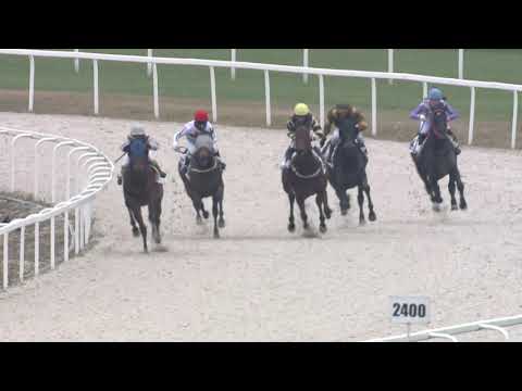 2020.12.20. 04. futam - LIGETTELKI DŰLŐ HENDIKEP (II.o.) (szintetikus pálya)