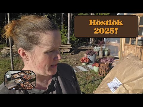 🍂 Sätter höstlök i trädgården 🌷