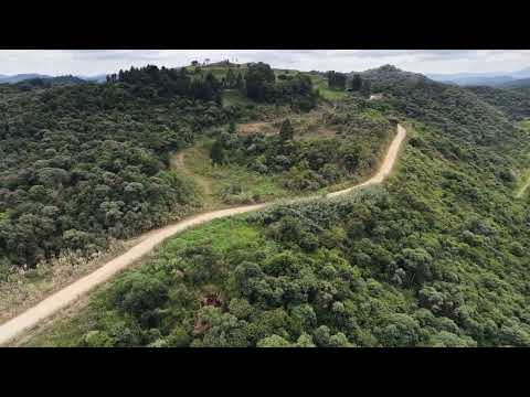 Rio Branco do sul PR