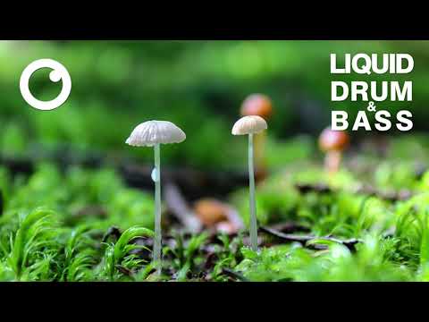 Liquid Drum and bass Mix 2020 #36