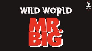Download lagu Mr. Big | Wild World (HQ Karaoke) mp3 Download lagu Mr. Big | Wild World (HQ Karaoke) mp3