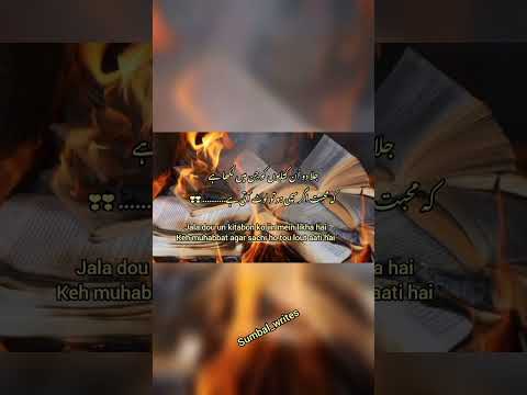jala dou un kitabo ko🔥🔥💔😔😓#shortfeed#brokenheart #sadpoetrystatus#urdulineheartbrokensong