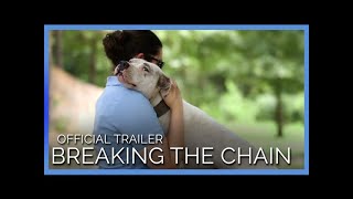 Neglected Animals' Stories Are Revealed in 'Breaking the Chain' | Official Trailer