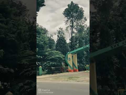 Badli Si Hawa 🌫️ | Road Vibes 🚗✨ | Aesthetic#BadliSiHawa #RoadVibes #nasrin  #Viral#RoadTripVibe