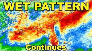 Florida Weather Update: Daily Rains, Late August Heat, & September Tropics Update 🌀