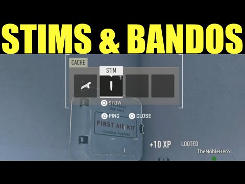 Video preview