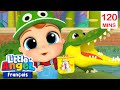 Visitons Le Zoo Pour Apprendre Sur Les Animaux Comptines Avec Bébé Louis Little Angel Français