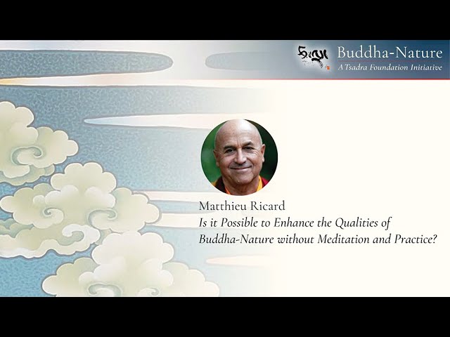 Matthieu Ricard Is It Possible To Enhance The Qualities Of Buddha Nature Without Meditation And Practice Buddha Nature