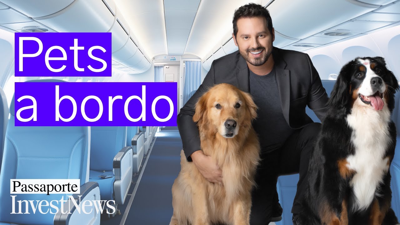 Como viajar com seu cachorro de avião: Guia essencial