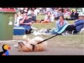Dog PLAYS DEAD to Avoid Going Home While Park Crowd Watches | The Dodo